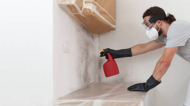 Professional Mold Removal technician working in Kent City, MI