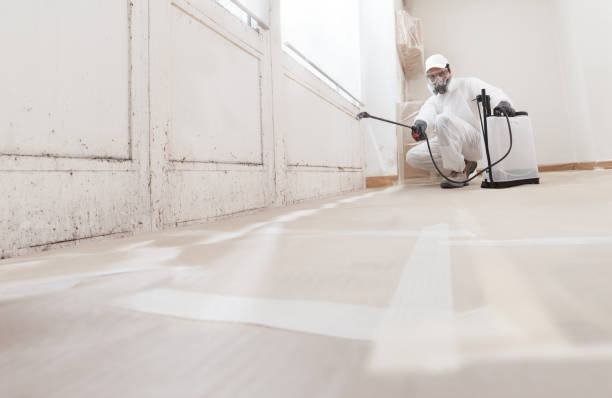 24/7 Emergency Mold Removal experts in Kent City, MI